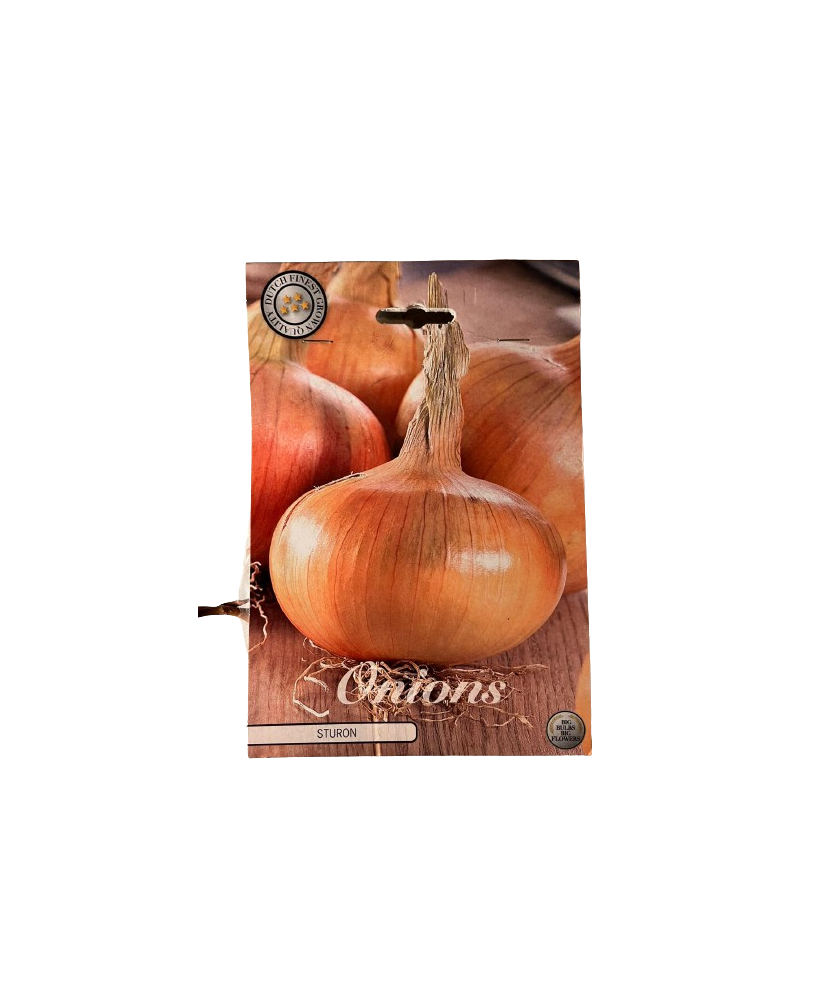 Pachet Ceapa Sturon Bulbi 250 g