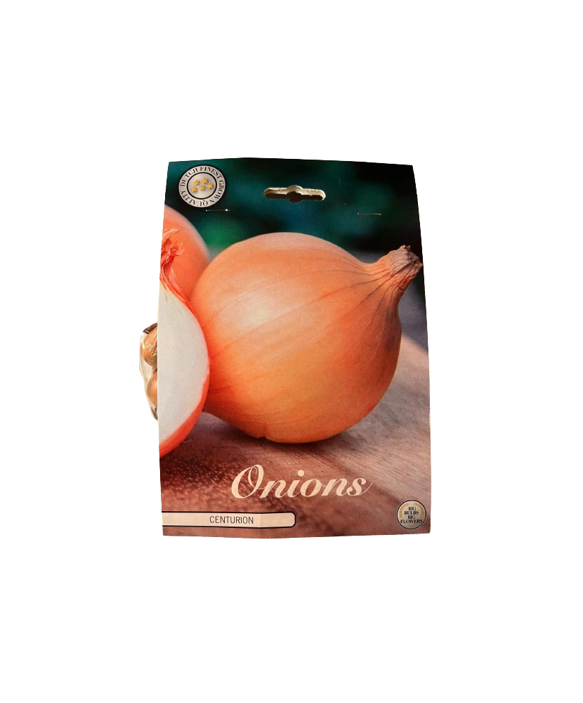 Pachet Ceapa Centurion 250 g I Bulbi