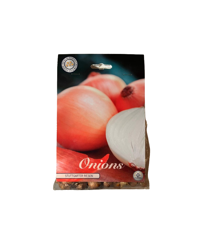 Pachet Ceapa Stuttgarter Riesen 250 g I Bulbi