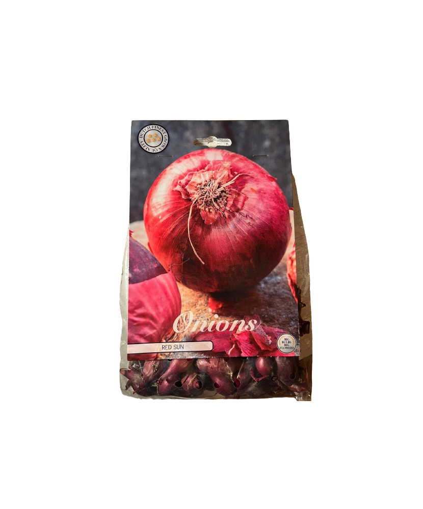 Pachet Ceapa Red sun 250 g I Bulbi