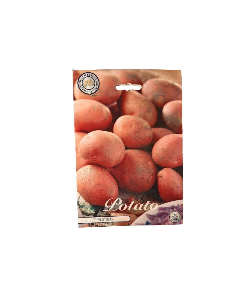 Pachet Cartofi Bildtstar Bulbi