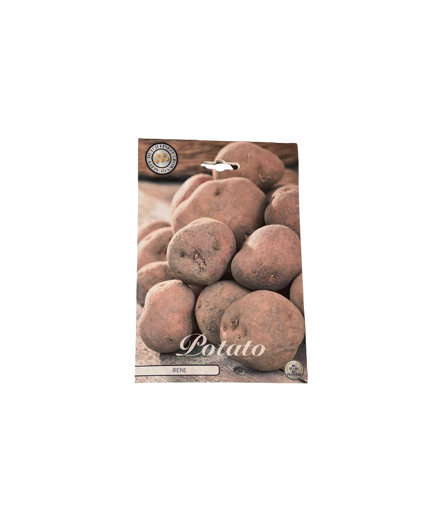 Pachet Cartofi Irene Bulbi