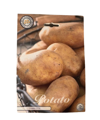 Pachet Cartofi Charlotte Bulbi