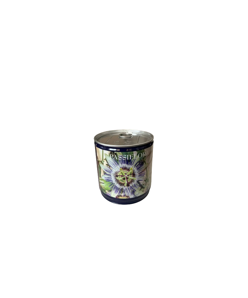 Kit Gradinarit Metal Passiflora I 1 buc