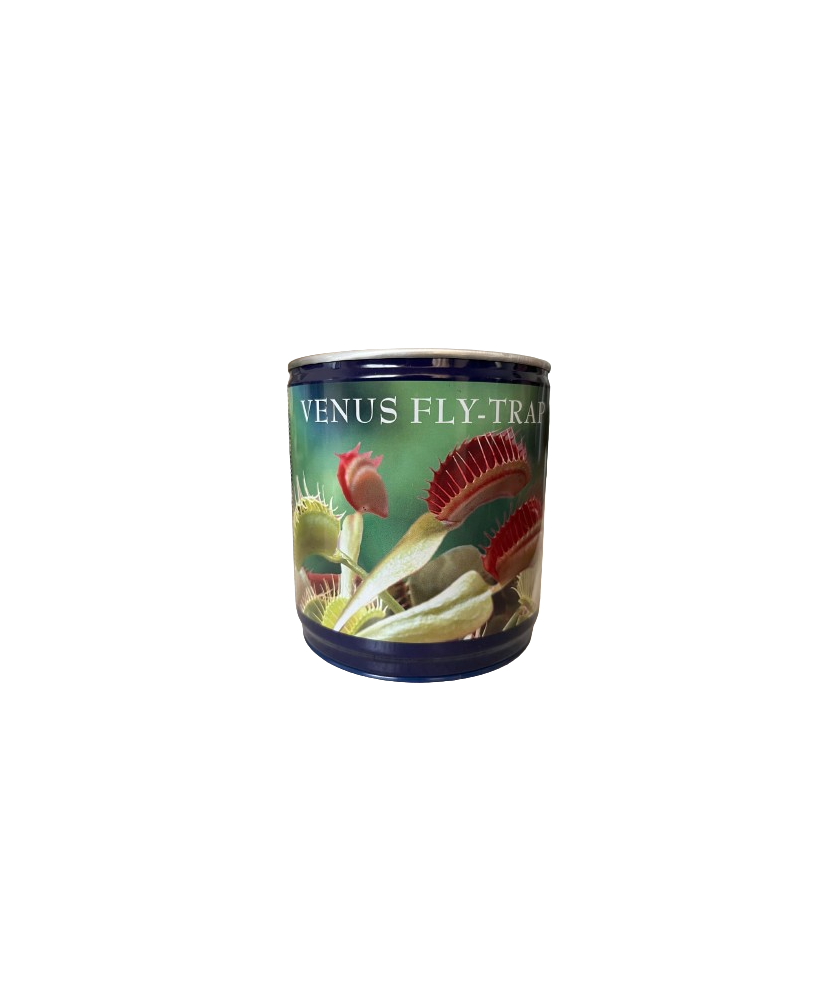 Kit Gradinarit Metal Venus Fly Trap I 1 buc