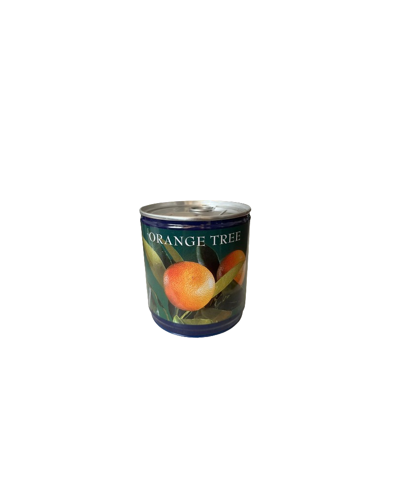 Kit Gradinarit Metal Orange Tree I 1 buc