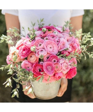 Piciorul Cocosului Ranunculus, Pink, Roz, 10/+, 1 Bulb