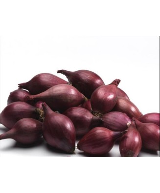 Bulbi Ceapa/Arpagic roșu 'Red Karmen', 1kg