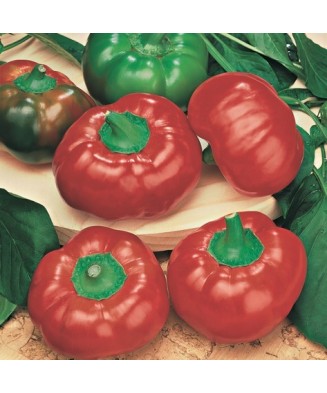 Planta Ardei roșu cherry,...