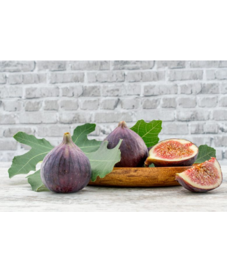 Planta, Smochin Brown Turkey, Ficus carica Brown Turkey, ghiveci C2 litri