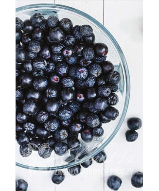 Planta, Aronia Viking, Aronia x prunifolia Viking, ghiveci P9 litri