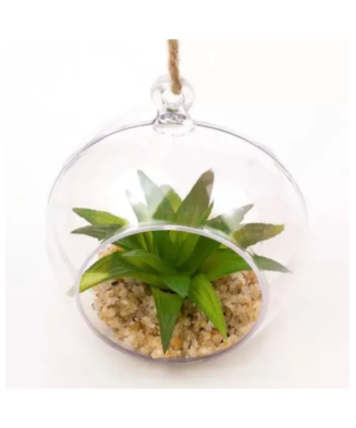 Glob Plastic Terariu,...