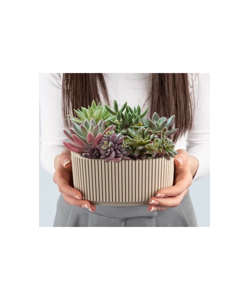 Ghiveci pentru flori, Arta, 1.8 L