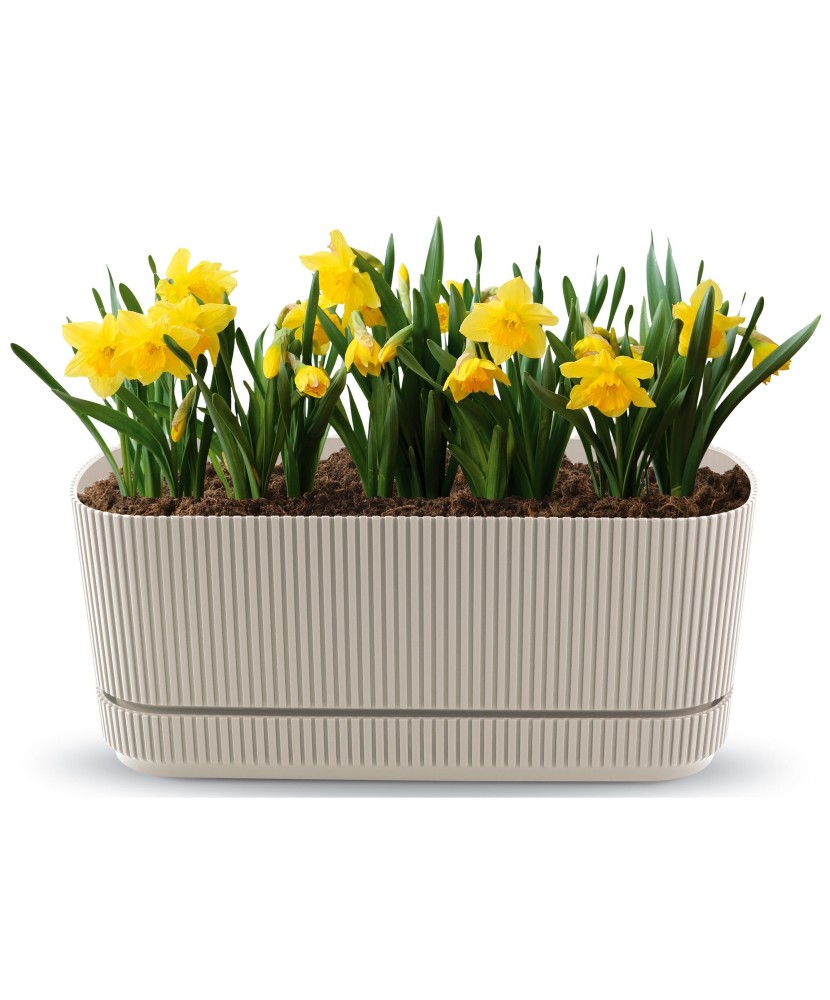 Jardiniera Flora, 1.5 L