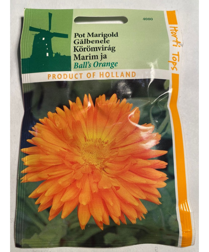 Seminte flori Calendula  Officinalis Balls Orange - Galbenele Horti Tops 2 g.