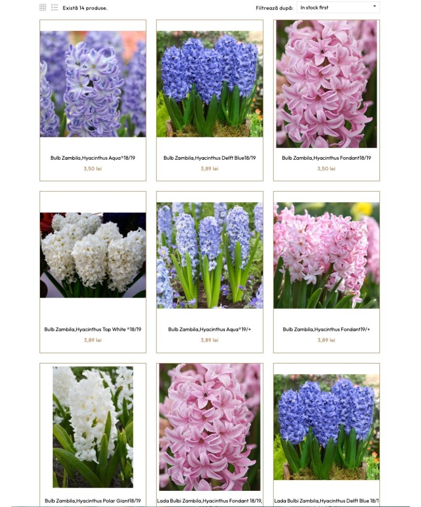 Pachet Mix Bulbi zambila, 18/19, 100 bulbi