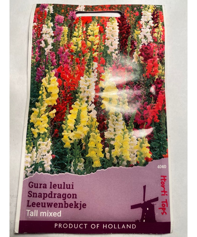 Seminte flori Antirrhinum Majus Maximum – Gura Leului Horti Tops 0,5 g.