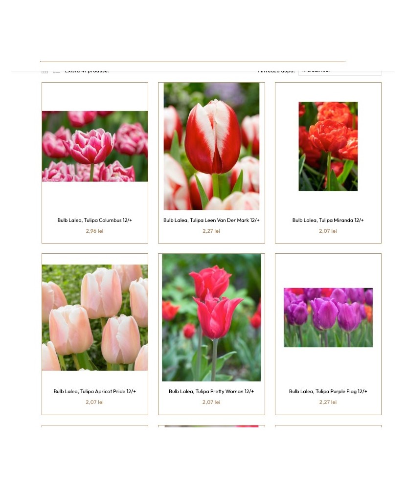 Pachet mix lalele, 100 bulbi