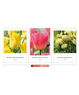 Pachet mix lalele, 100 bulbi