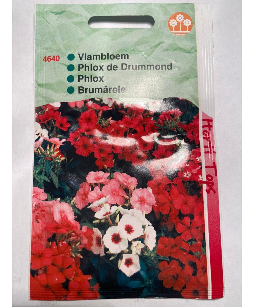 Seminte flori Phlox Drumondi Nana Compacta Horti Tops 0,2 g.