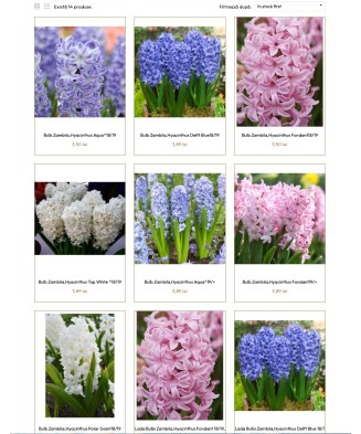 Pachet Mix Bulbi zambila,...