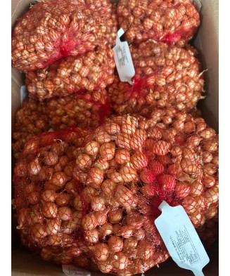 Bulbi Ceapa/Arpagic galben 'Stuttgarter Riessen', 1kg