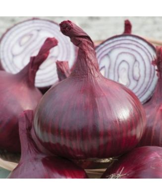 Bulbi Ceapa/Arpagic roșu...