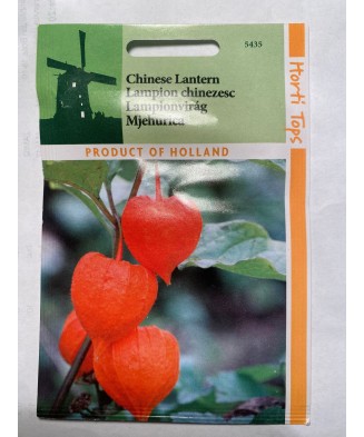 Seminte flori Physalis...