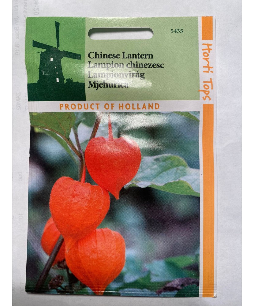 Seminte flori Physalis Peruviana – Lampadar Chinezesc Horti Tops 0,25 g