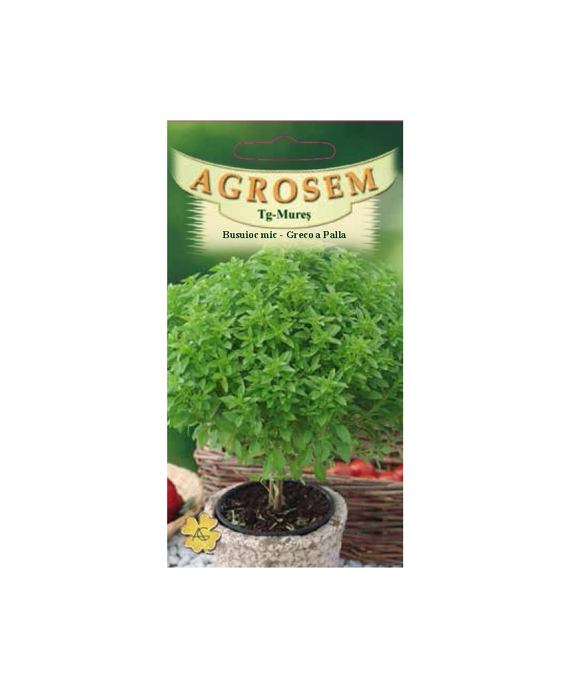 Seminte,Busuioc mic Greco 0.4gr