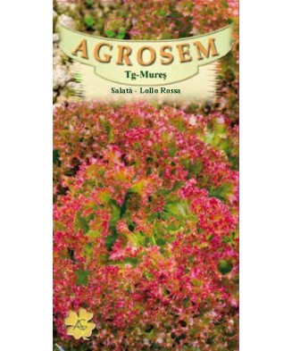 Seminte,Salata Lollo Rossa 1gr