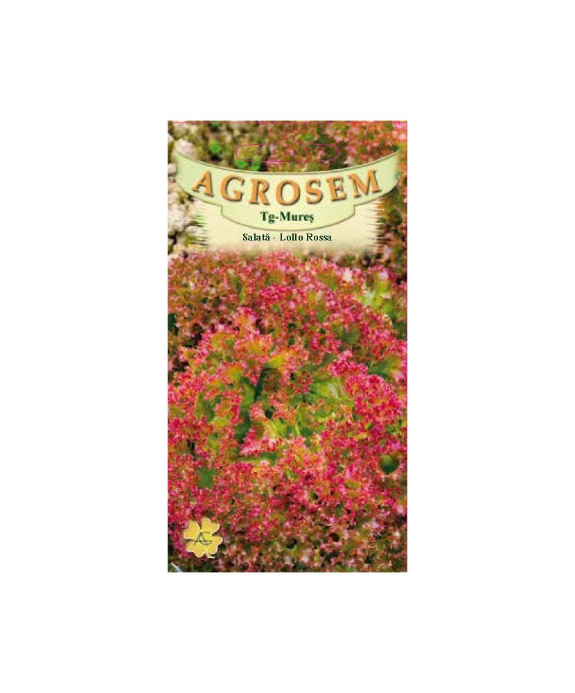 Seminte,Salata Lollo Rossa 1gr