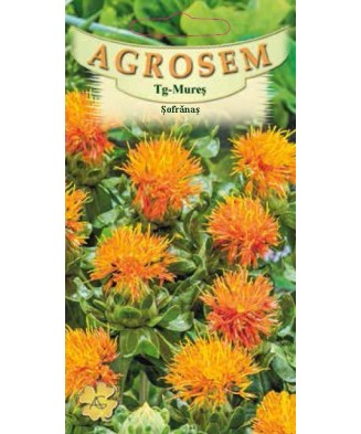 Seminte,Sofranas    1gr