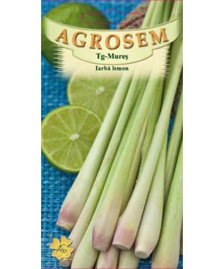 Seminte,Iarba lemon   60sem