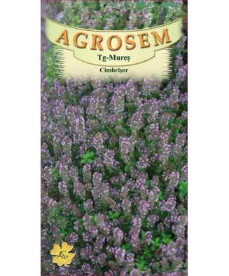 Seminte,Cimbrisor Thymus...