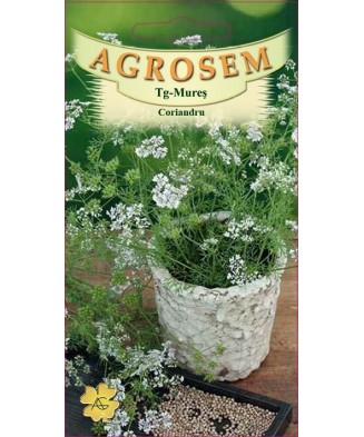 Seminte,Coriandru 2gr