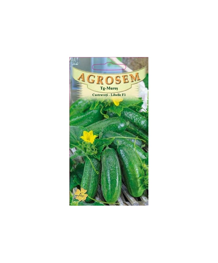 Seminte,Castraveti Libelle F1 2gr