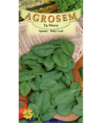 Seminte,Spanac Baby leaf 8gr