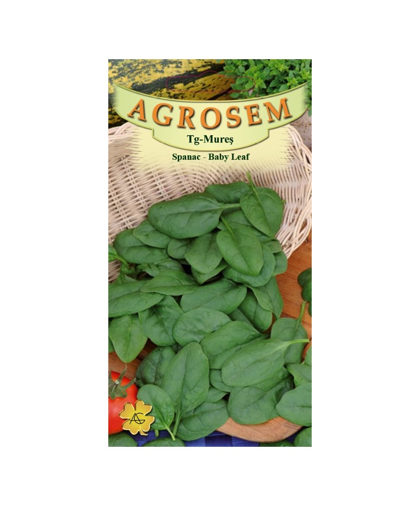 Seminte,Spanac Baby leaf 8gr