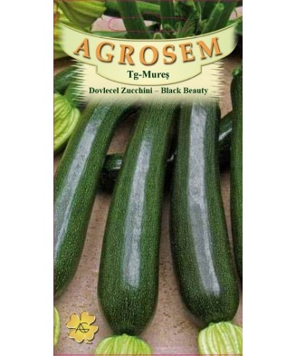 Seminte,Dovlecel zucchini...