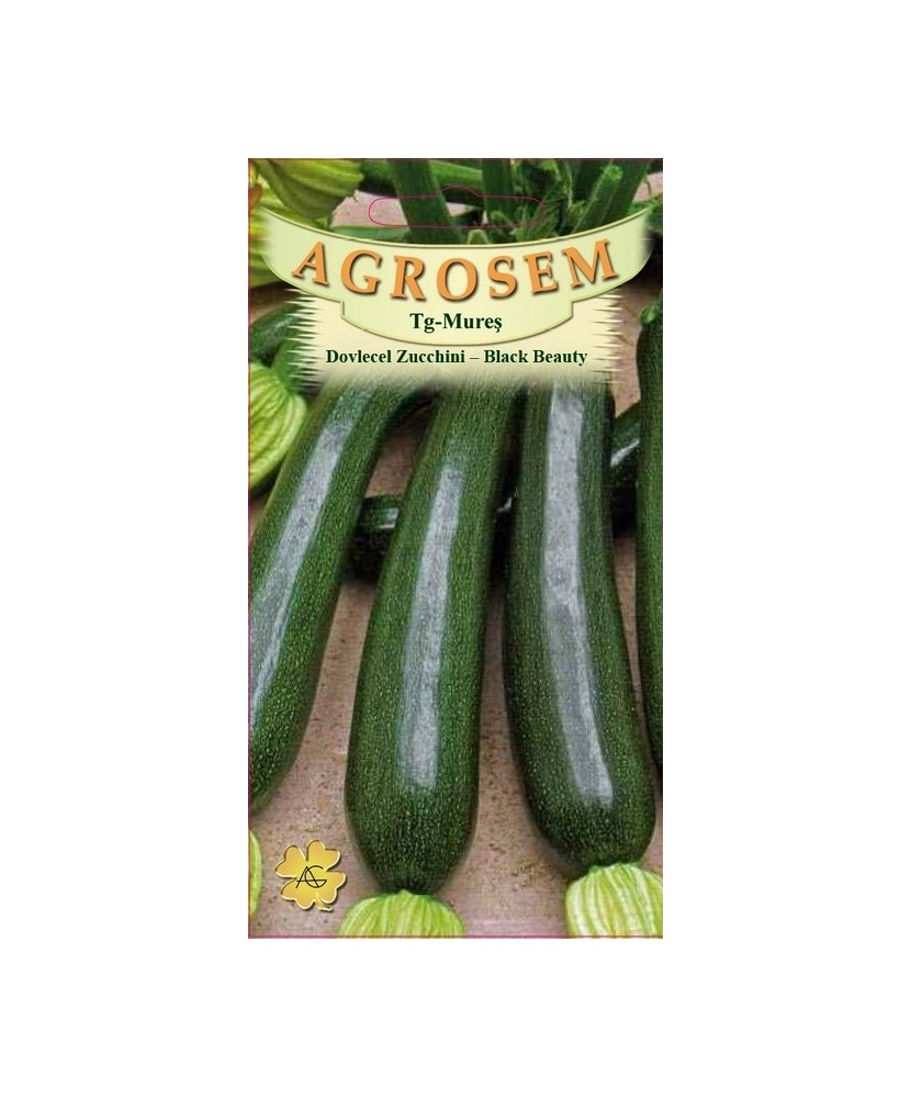Seminte,Dovlecel zucchini Black B. 3gr