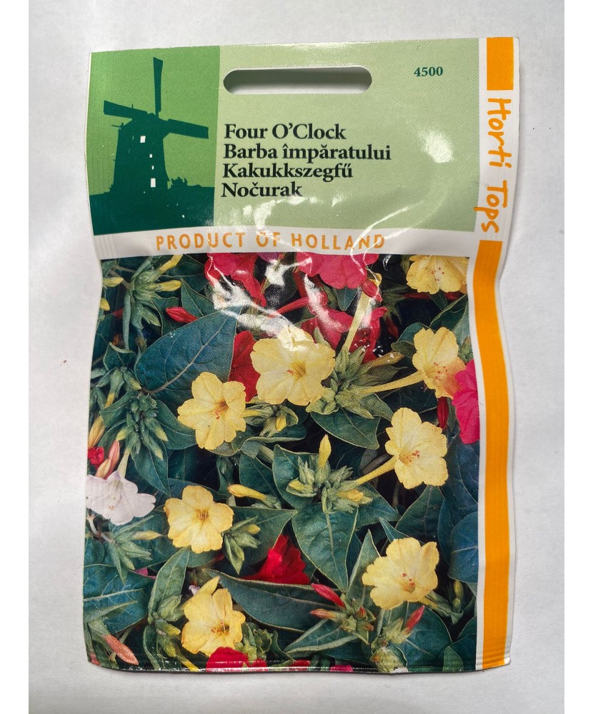 Seminte flori Mirabillis Jalapa – Barba Imparatului Horti Tops 3 g.