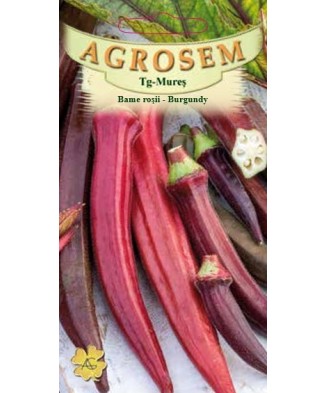 Seminte,Bame rosii Burgundy...