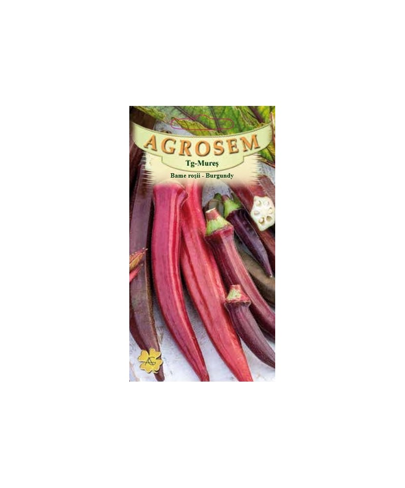 Seminte,Bame rosii Burgundy 2gr