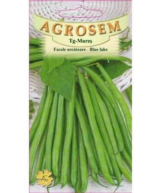 Seminte,Fasole urc.verde...