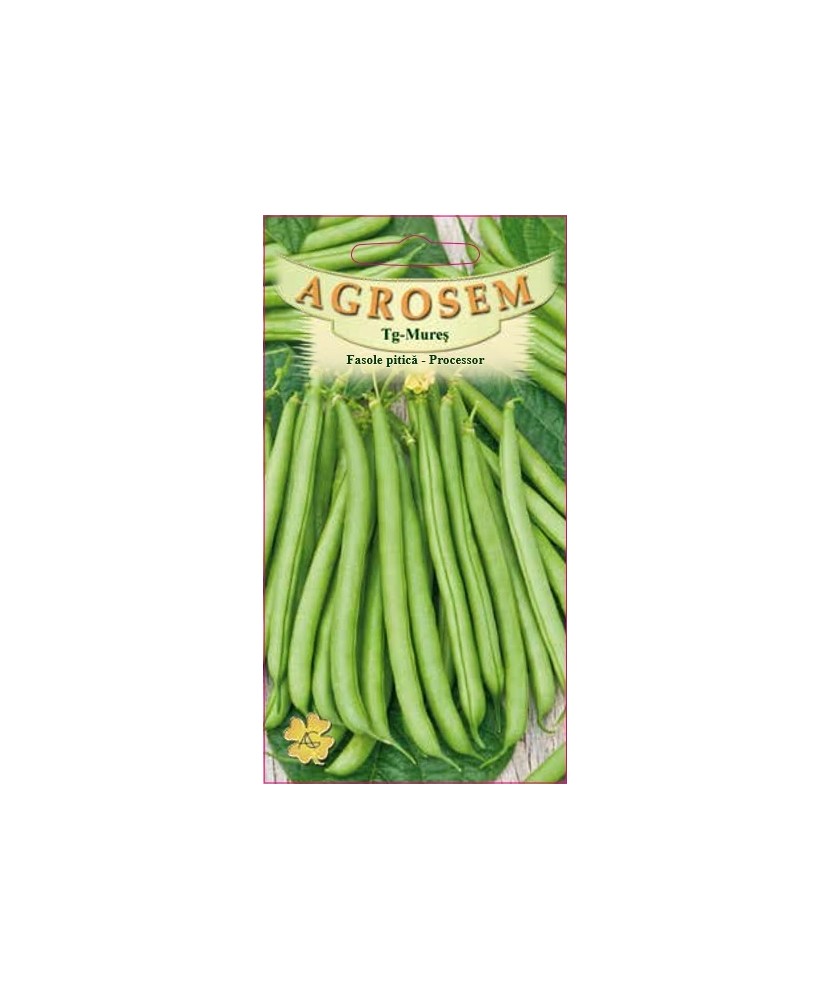 Seminte,Fasole pit.ver.Processor  100g