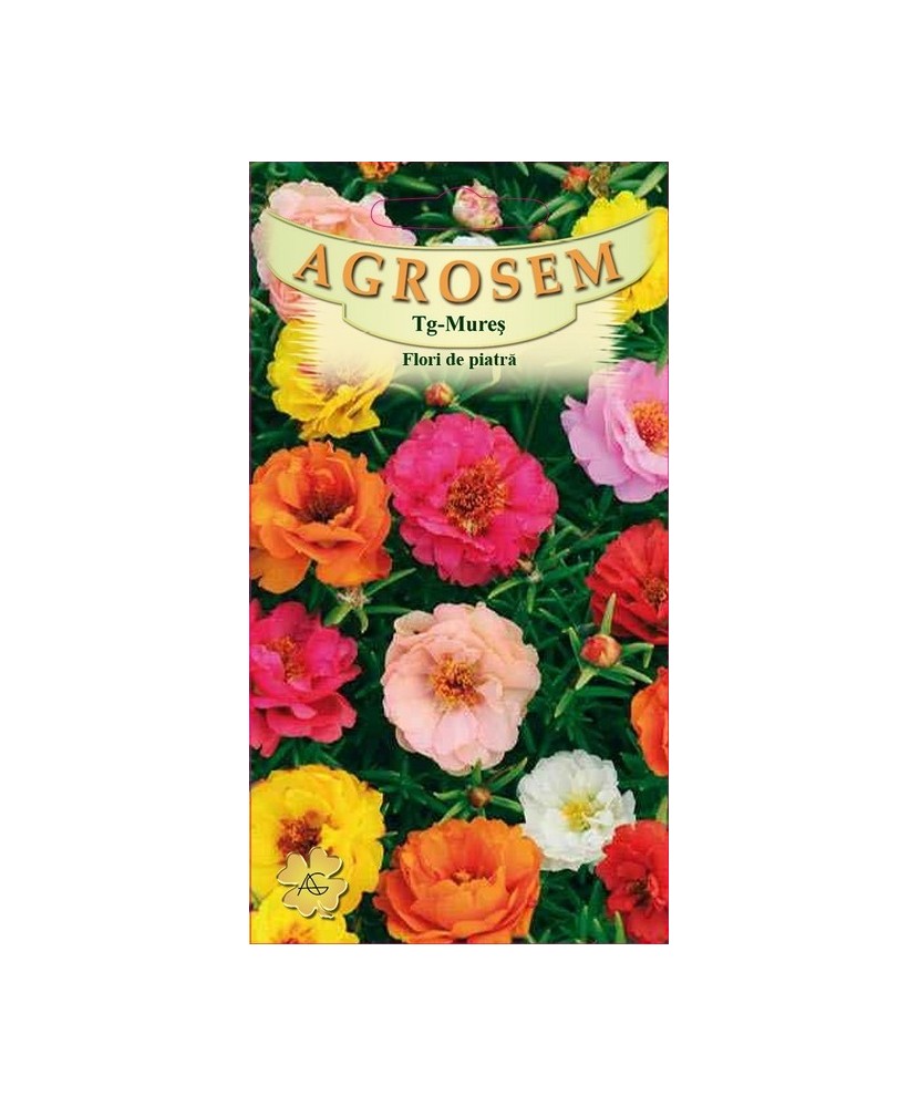 Seminte,Flori de piatra mix 0.3gr