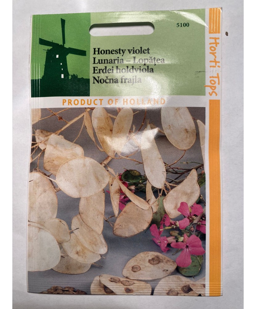 Seminte flori Lunaria Annua  - Lopatea Horti Tops 1 g