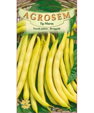 Seminte,Fasole pitica,...