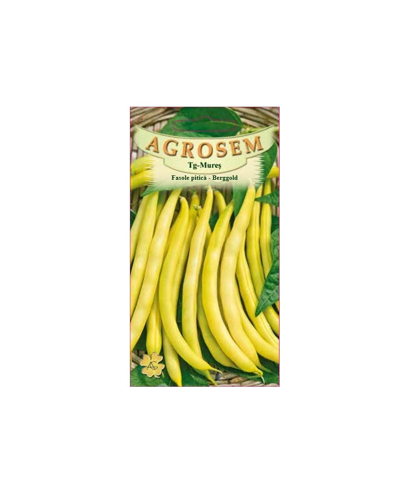 Seminte,Fasole pitica, galbena, Berggold 50gr